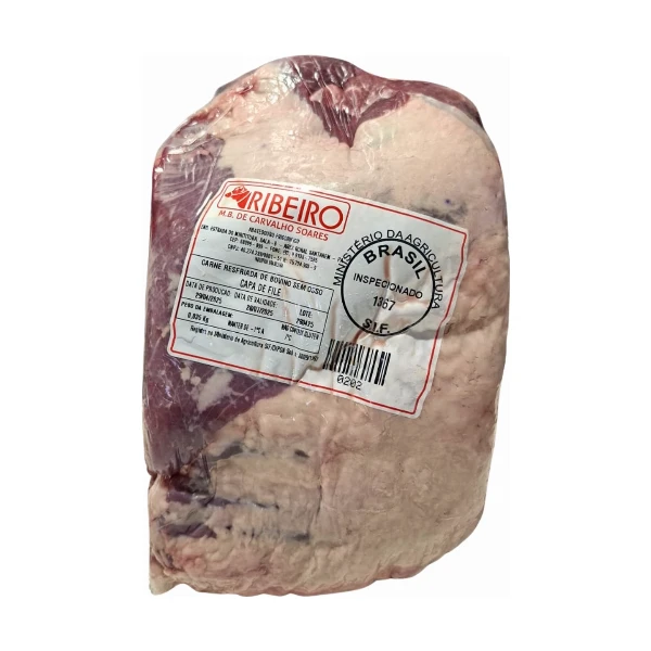 Capa File Ribeiro Resfriado.0202